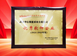 喜讯丨DB真人旗舰 DB数据获评2024~2025年度武汉市软件行业&ldquo;优秀企业&rdquo;、&ldquo;优秀工作者&rdquo;荣誉称号！